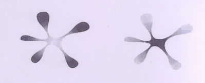 (logo) Device mark 1780462 Trademark