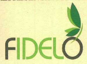 Fidelo Device mark 2973140 Trademark