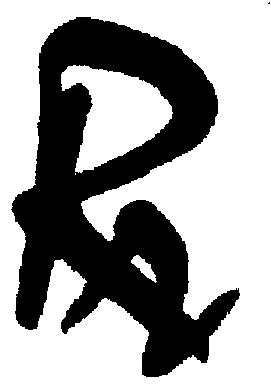 Rn Device Device mark 1123905 Trademark