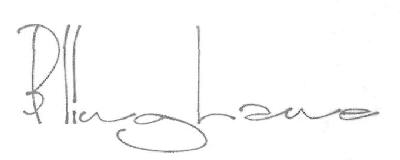 Blinglane (device) Device mark 2874990 Trademark