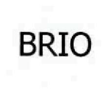Brio Device mark 1937001 Trademark
