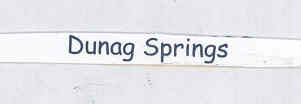 Dunag Springs Device mark 1701312 Trademark