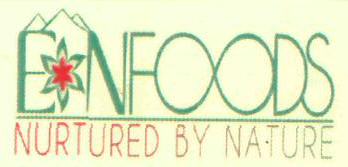 Eon Foods Device mark 2986788 Trademark