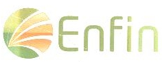 Enfin Device mark 2051373 Trademark