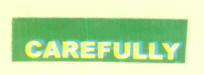 Carefully (label) Device mark 1620211 Trademark