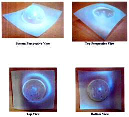 Dev. Of Bowl, Four Dimensional Mark (lable) Device mark 1622234 Trademark