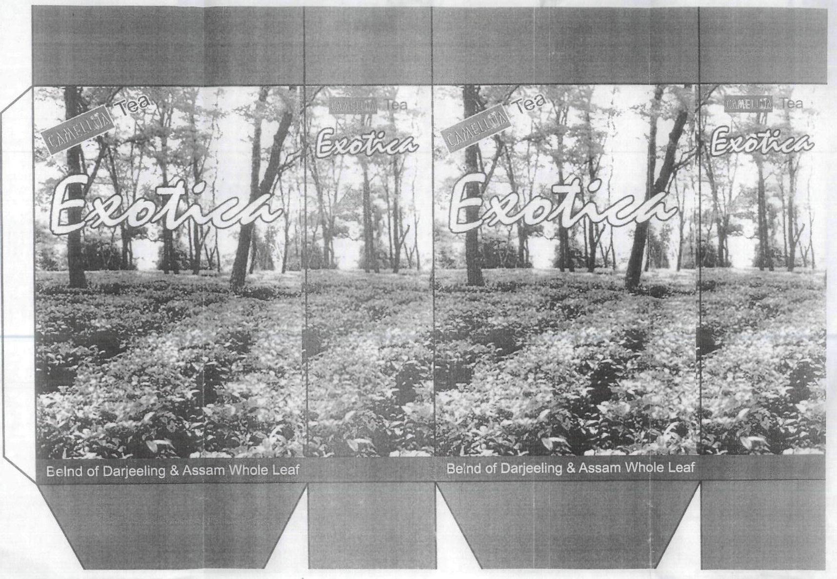 Exotica Device mark 1704608 Trademark