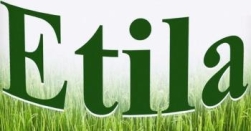 Etila Device mark 2649025 Trademark