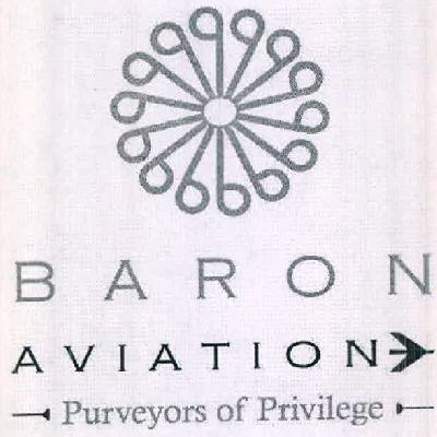 Baron Aviation Device mark 2558935 Trademark