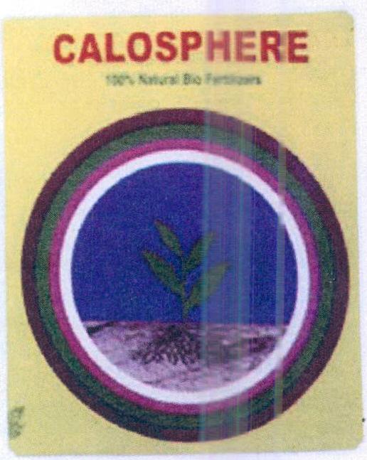 Calosphere (label) Device mark 1578201 Trademark