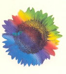 Flower (label) Device mark 1236306 Trademark