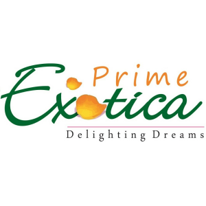Prime Exotica -delighting Dreams Device mark 2630665 Trademark