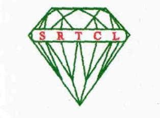 Srtcl Device mark 2973100 Trademark