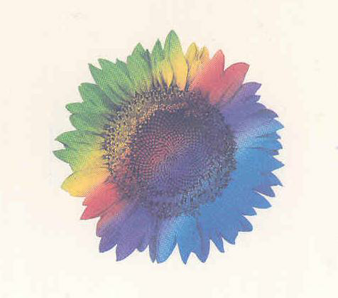 Device Of Flower Device mark 784764 Trademark