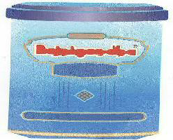 Rajnigandha With Device Device mark 1607264 Trademark