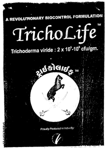 Tricholife ( Lable, Device Of Hourse ) Device mark 1469229 Trademark