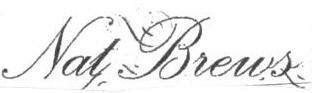 Nat Brews Device mark 1658001 Trademark