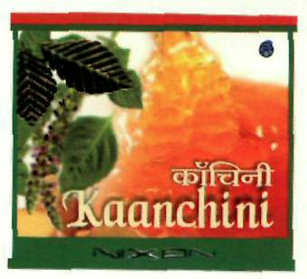 Kaanchini (label) Device mark 2460087 Trademark