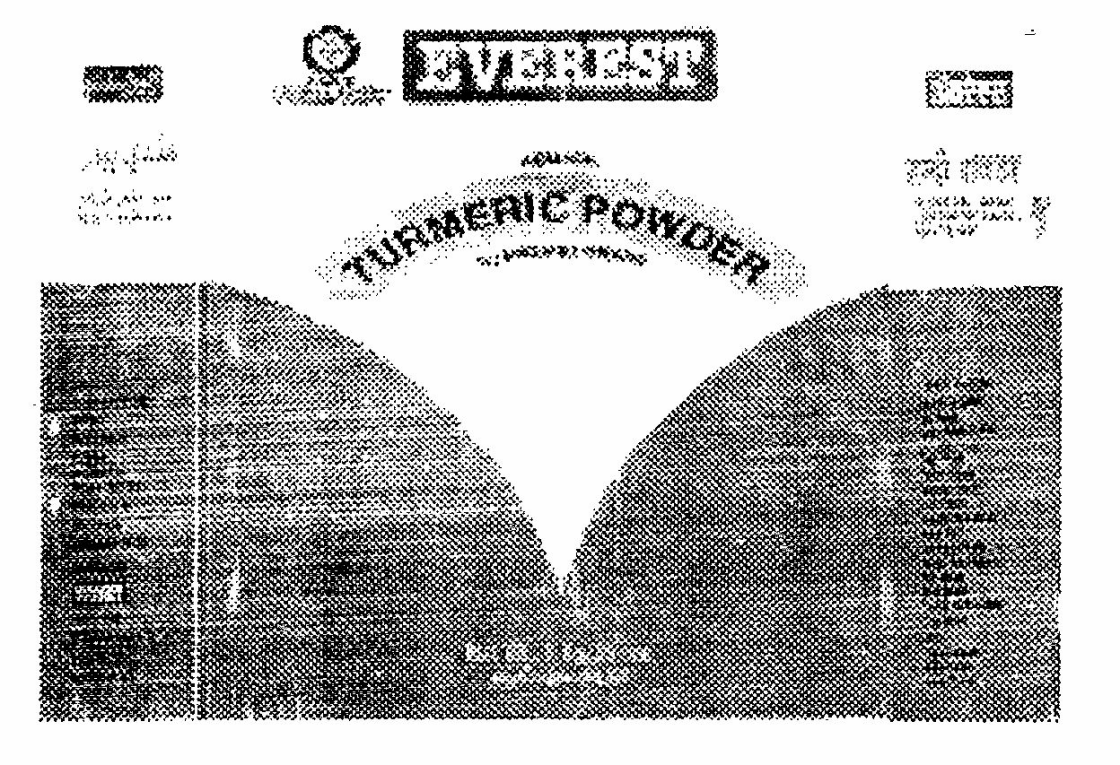 Turmeric Powder Device mark 557069 Trademark