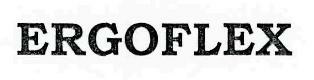 Ergoflex Device mark 2374334 Trademark