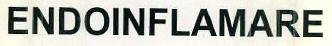 Endoinflamare Device mark 2587904 Trademark