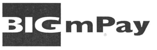 Bigmpay (device) Device mark 1659397 Trademark