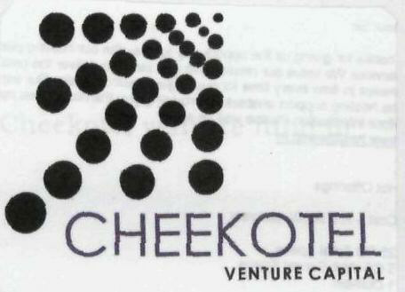 Cheekotel Venture Capital Device mark 1967555 Trademark