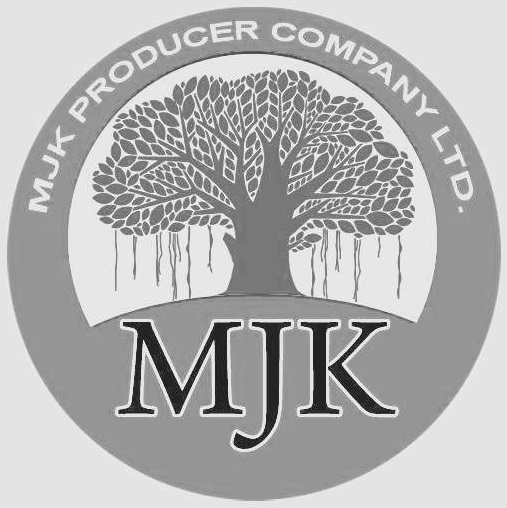Mjk Device mark 2995561 Trademark