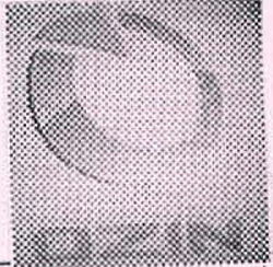 O Logo With Word Ozin Device mark 2496601 Trademark