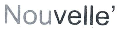 Nouvelle' Device mark 2811601 Trademark