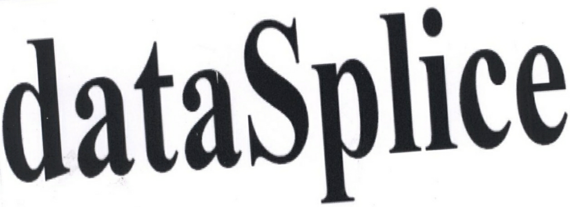 Datasplice Device mark 2421062 Trademark