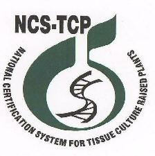 Ncs-tcp Device mark 1631177 Trademark