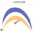 Avinash (logo) Device mark 1517446 Trademark
