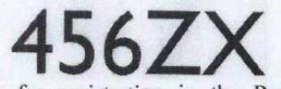 456zx Device mark 1945011 Trademark