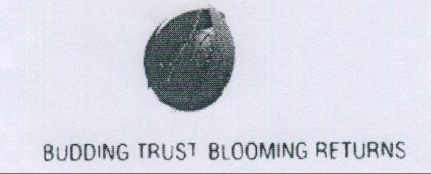 Budding Trust Blooming Returns Device mark 1981268 Trademark