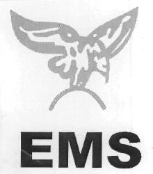 Ems Device mark 2939452 Trademark