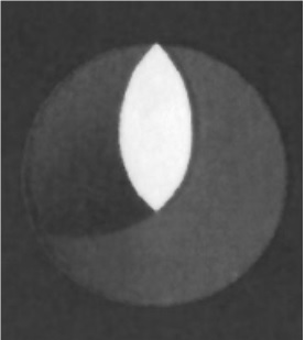 Bandhan Bank [logo] Device mark 2931681 Trademark