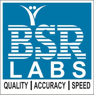 Bsr Labs Device mark 2906502 Trademark