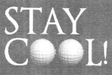 Stay Cool (device) Device mark 2444948 Trademark