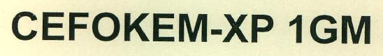 Cefokem-xp 1gm Device mark 2696497 Trademark