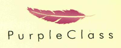 Purple Class Device mark 2978379 Trademark