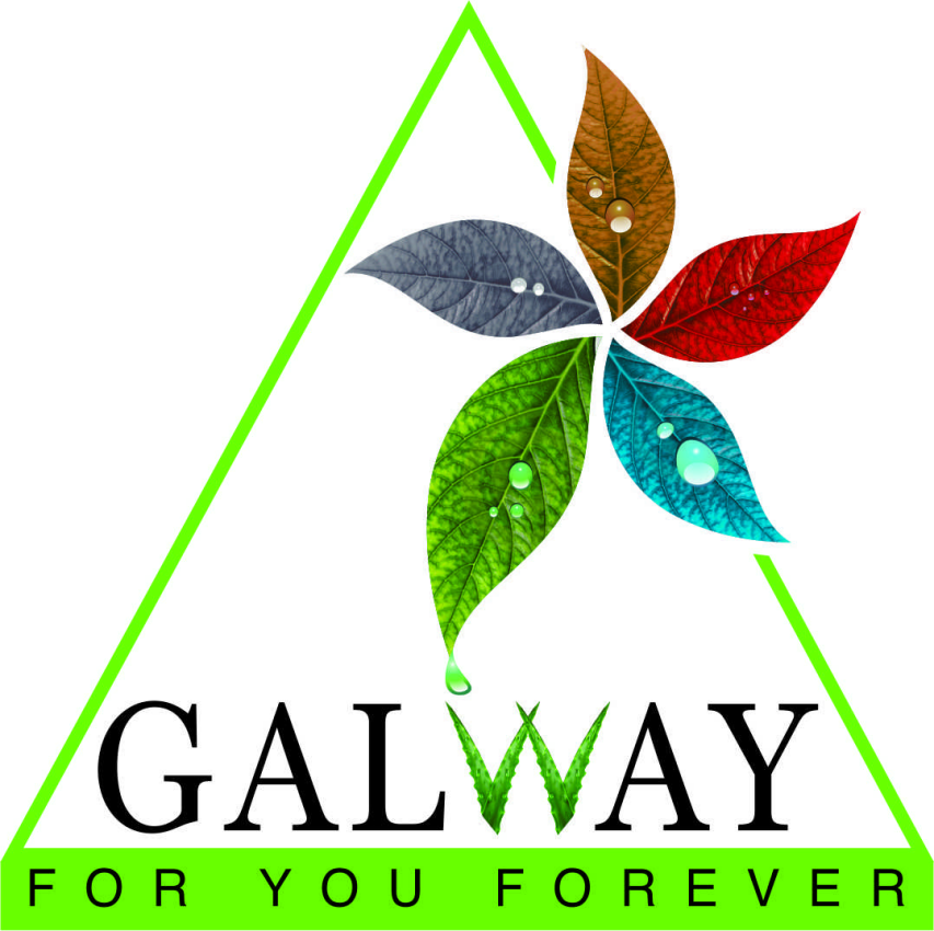 Galway For You Forever (logo) Device mark 2745012 Trademark