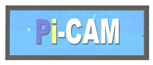 Pi-cam Device mark 1710767 Trademark