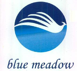 Blue Meadow Device mark 2829347 Trademark