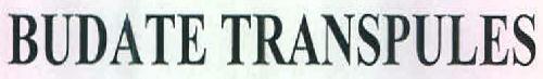Budate Transpules Device mark 2891333 Trademark