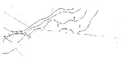 India Jones Device mark 1016927 Trademark