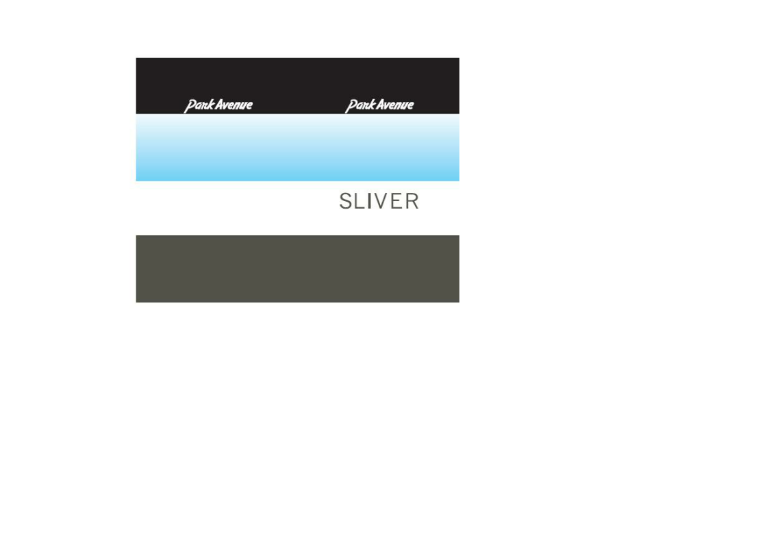 Park Avenue Sliver Device mark 1965069 Trademark