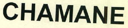 Chamane Device mark 2564547 Trademark