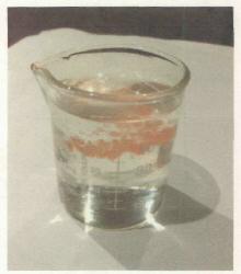 Device Device mark 2877806 Trademark