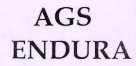 Ags Endura Device mark 1827728 Trademark